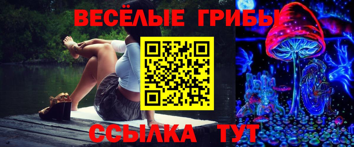 купить наркотики сайты  Вход с VPN  Куйбышев  Псилоцибиновые грибы мухоморы 